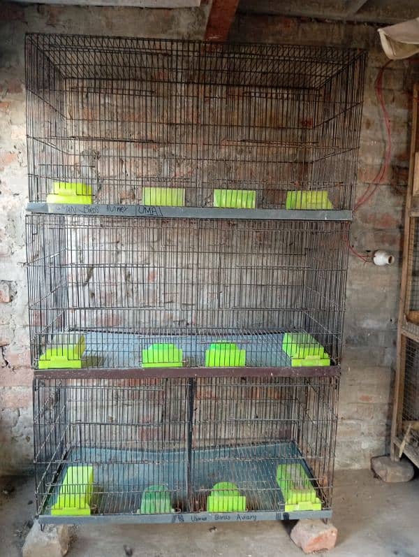 Birds cages 8