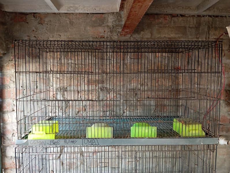 Birds cages 9