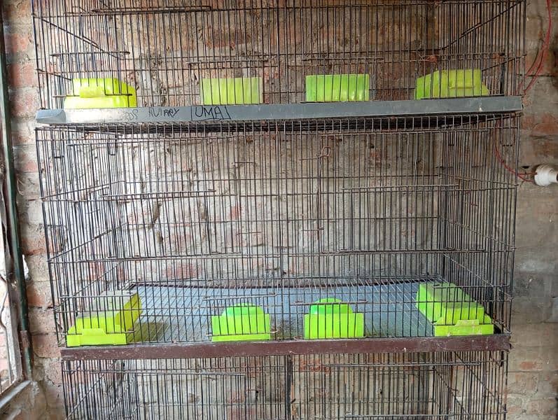 Birds cages 10