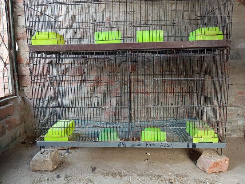 Birds cages 11