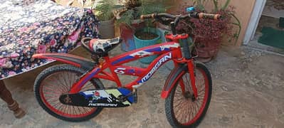 Bicycle kids for sale