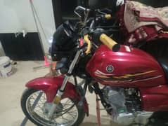 Yamaha YB 125Z 2023