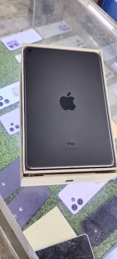 ipad mini 5