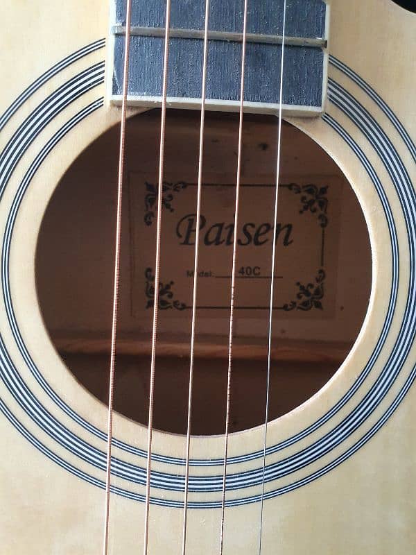 acoustic guitar 1