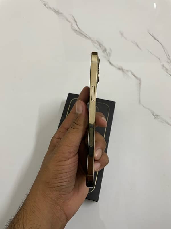 Iphone 12 pro max dual pta approved 2