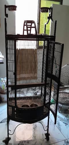 Grey parrot cage