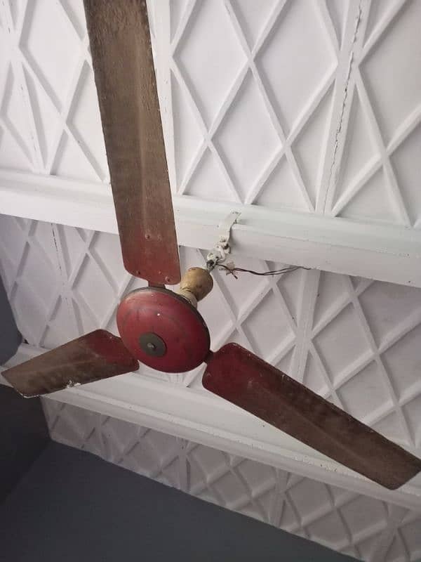 Celling Fan Ac 0