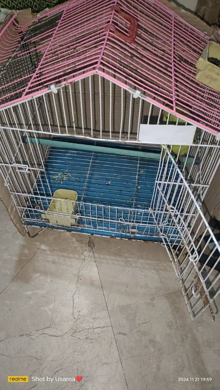 Cage Parrot 2