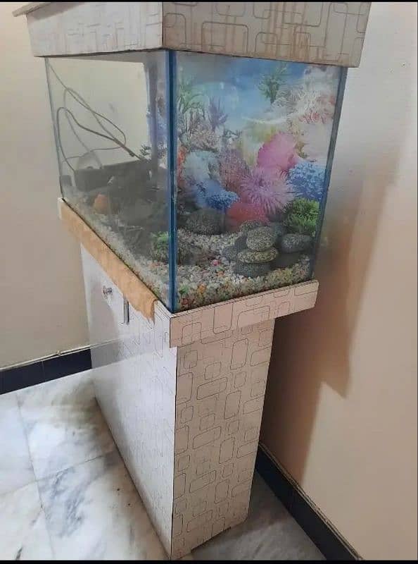 Aquarium for sale 3