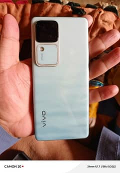 vivo