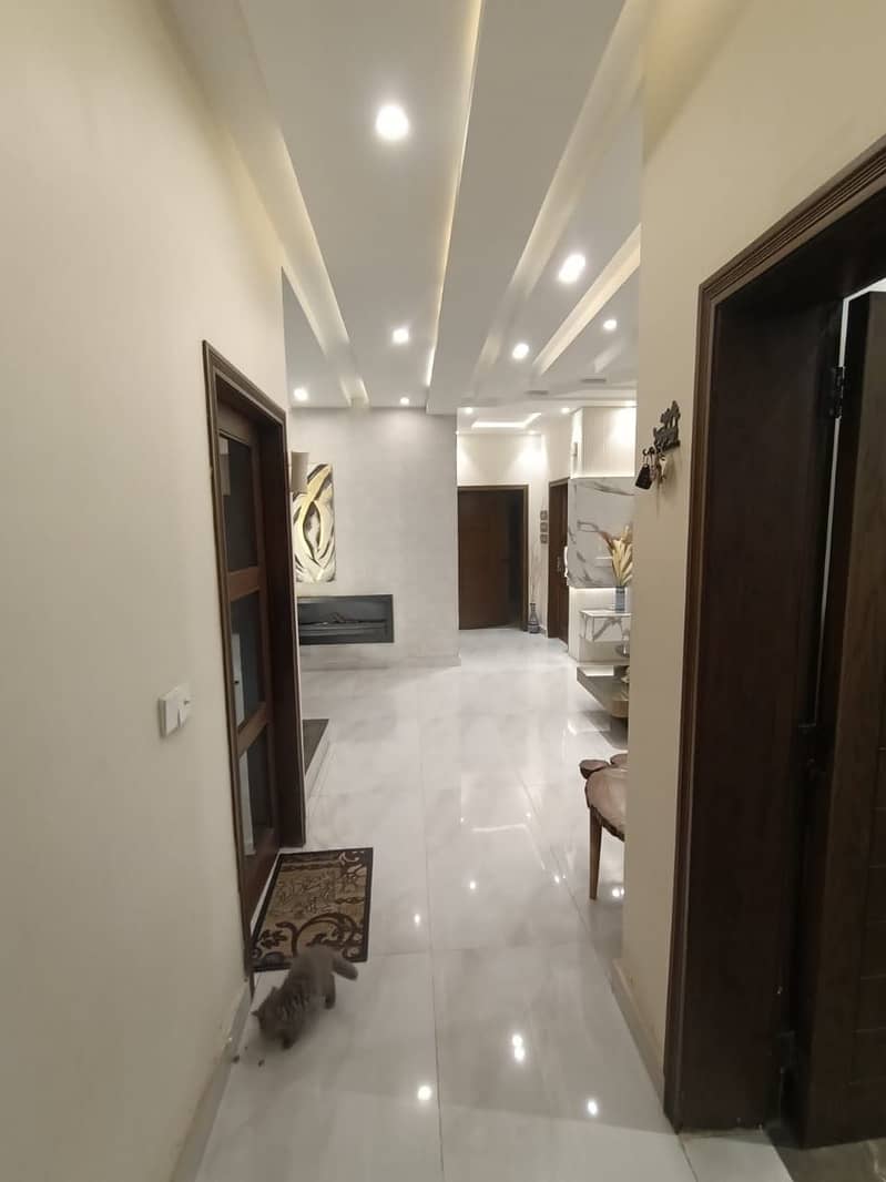 10 Marla Like Brand New House Available For Sale In The Prime Location Of Johar Town 4