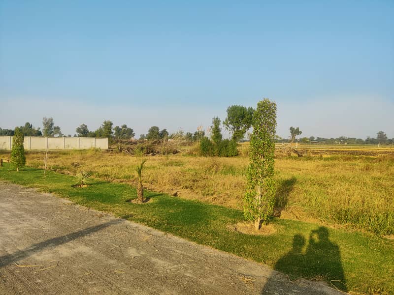 1 Kanal Plot For Farm House In Farm City 38 Lac Per Kanal 13