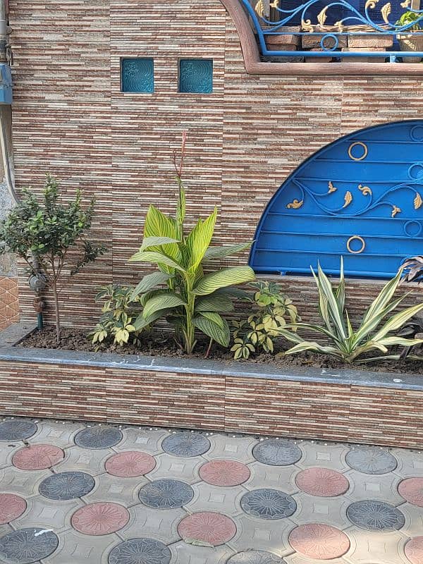 5 marla house sale in Johar town Lahore 5