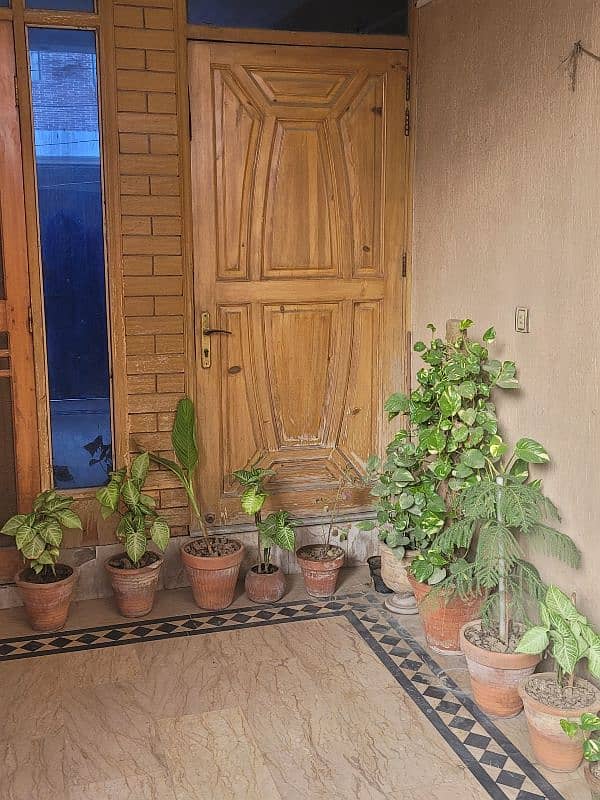 5 marla house sale in Johar town Lahore 16