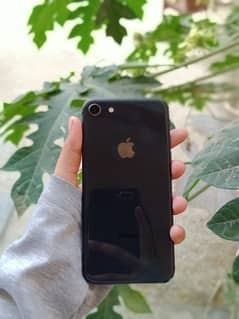 iPhone 8 Black - 64GB - No Any Fault