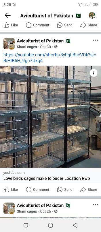 Gelvinised folding cage 0