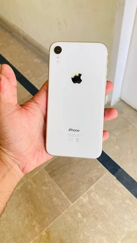 iPhone Xr (Pta Approve) 0