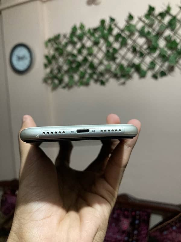 iphone 11  white dual pta 2