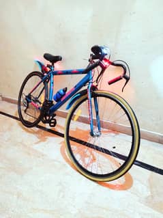 Imported Sports Cycle Aluminum Frame