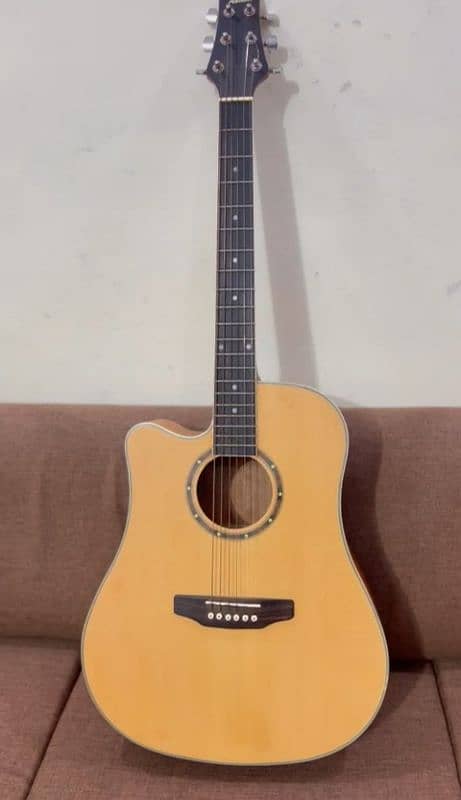 Ashton Guitar 7