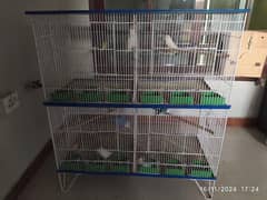 Birds Cage