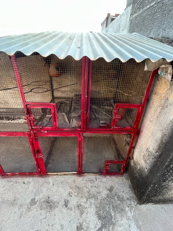 Cage for sale 1