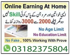 Online job at Home/Part Time/Data Entry/Typing/Assignments/Teaching