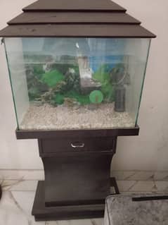 eqruim good condition urgent sale