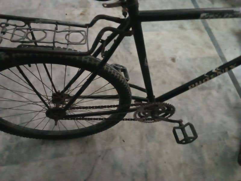 Phoenix Bicycle for sale 1