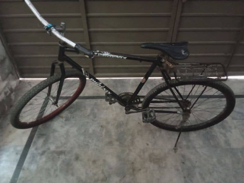 Phoenix Bicycle for sale 2