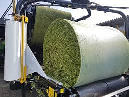 Silage /  Corn Silage/ Maki Silage / Animal Feeds  (0309 4097419) 7