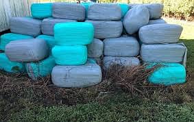 Silage /  Corn Silage/ Maki Silage / Animal Feeds  (0309 4097419) 8