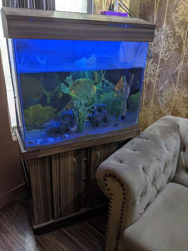 fish aquarium for sale 0