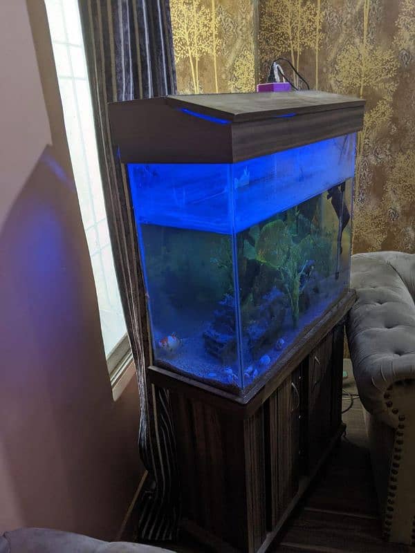 fish aquarium for sale 1