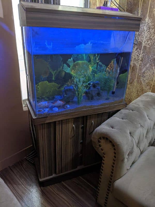 fish aquarium for sale 2