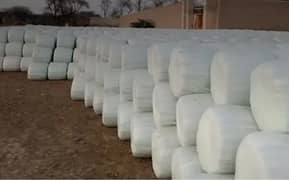 Silage best quality /Animals feed (0309 4097419)