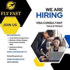 VISA CONSULTANT