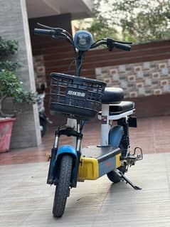 Electric Bike