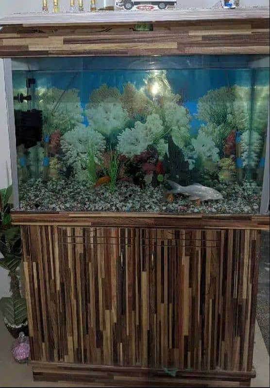 3feet Aquarium For Sale 0