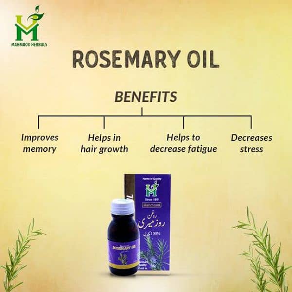 Rosemary hair oil with 100% result 1