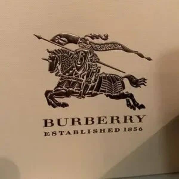 Burberry Watch Imported 2