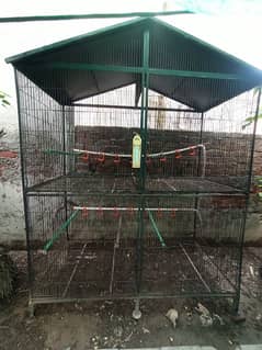 Solid Hen Bird Cage Double Portion