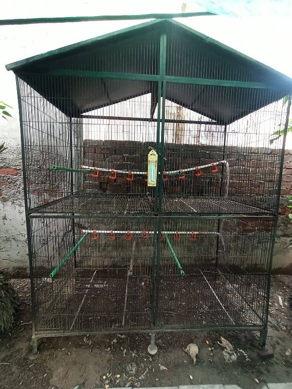 Solid Hen Bird Cage Double Portion 0