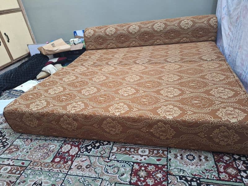 Large Size Sofa cum Bed 2