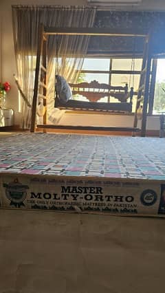 MASTER W MOLTY-ORTHO ( ORTHOPAEDIC MATTRESS)