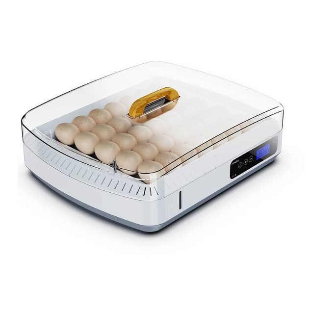 HHD 65 Eggs Fully Automatic AC+DC Incubator Wholesale Rate 3