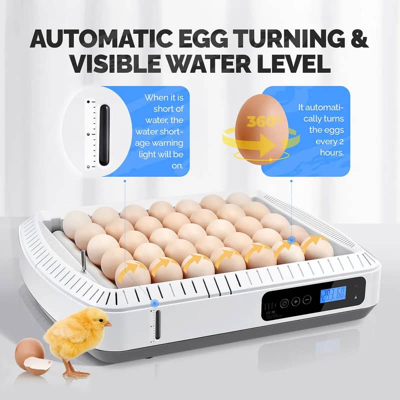 HHD 65 Eggs Fully Automatic AC+DC Incubator Wholesale Rate 5