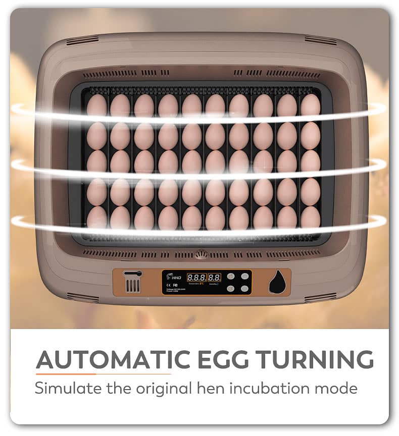 HHD 65 Eggs Fully Automatic AC+DC Incubator Wholesale Rate 8