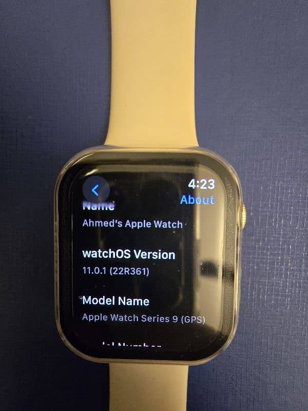 Apple Watch Series 9 (45mm) 1