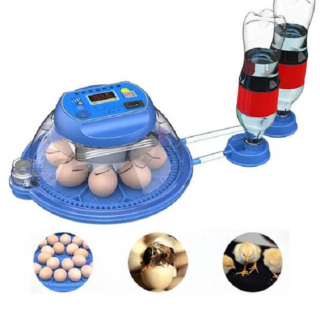 All Types of Imported Incubators Available 6 eggs - 1528 eggs 3